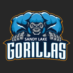 Sandy Lake Gorillas