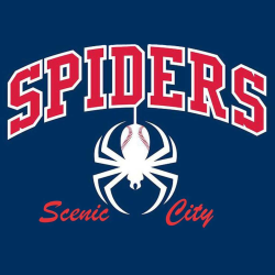 Scenic City Spiders