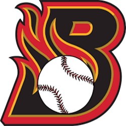 Three Rivers APBA Baseball League - Fresno Blaze Team Info
