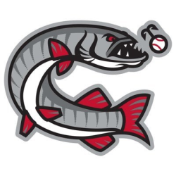 Computers United Baseball League - Miltona Muskies Team Info